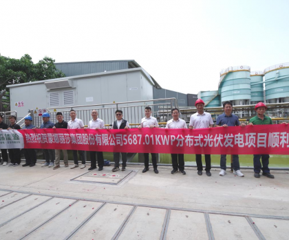 蒙娜丽莎西樵生产基地分布式光伏发电项目顺利并网